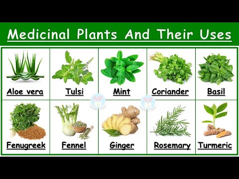 Medicinal Plants