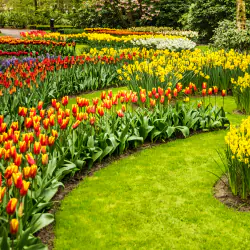 70au5szaiw-landscape-gardening-7-rqdsy-250