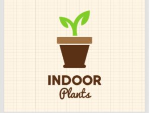 Indoor Plants
