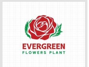 Evergreen Flowers Plant