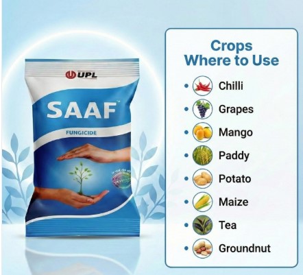 UPL Saaf Fungicide 500g - Image 5