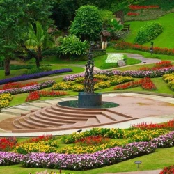 agro-horticulture-plantation-services-250x250