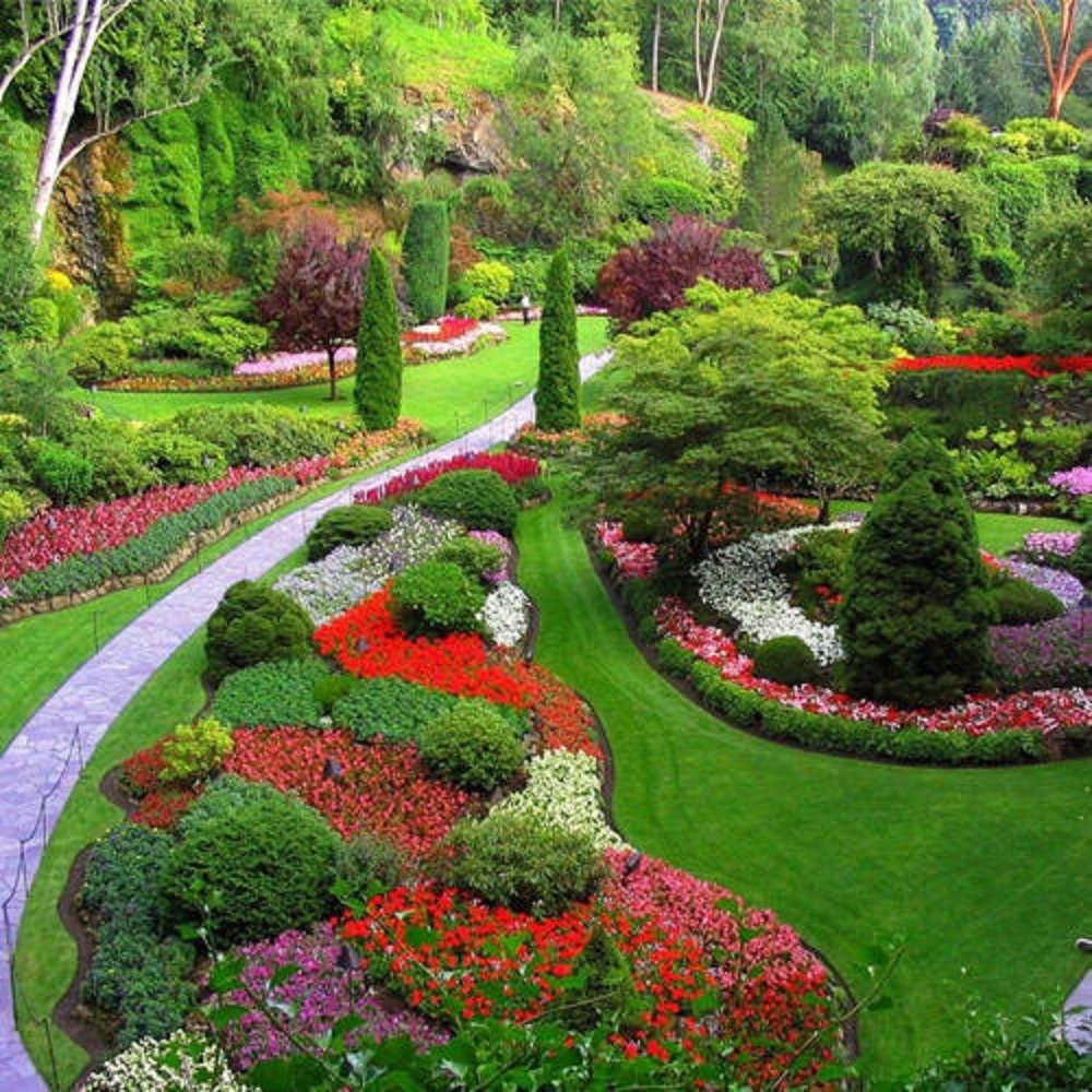 garden-development-services