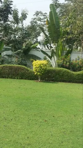 garden-landscape-500x500