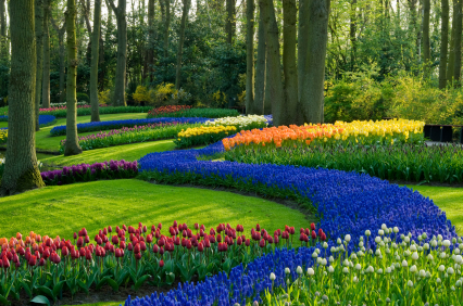 garden-landscaping-service-955