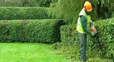 horticultural-services-500x500
