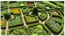 horticulture-250x250