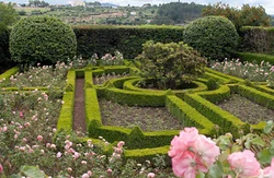 horticulture-landscaping-service-250x250