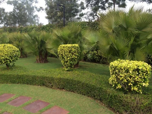 horticulture-landscaping-service-500x500 (2)
