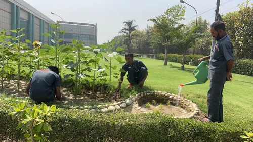 horticulture-services-500x500