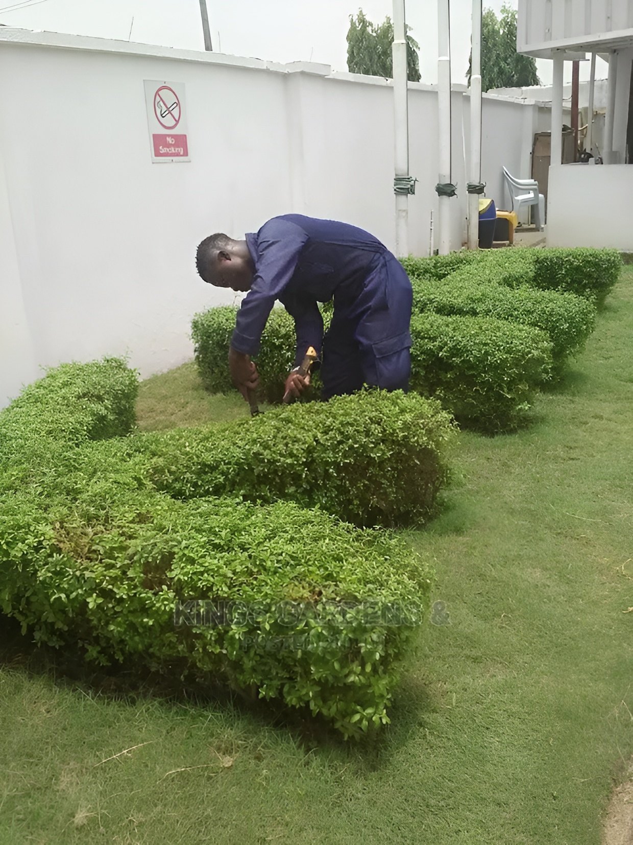 landscaping-horticulture-service