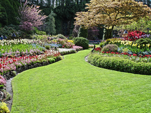landscaping-service-206
