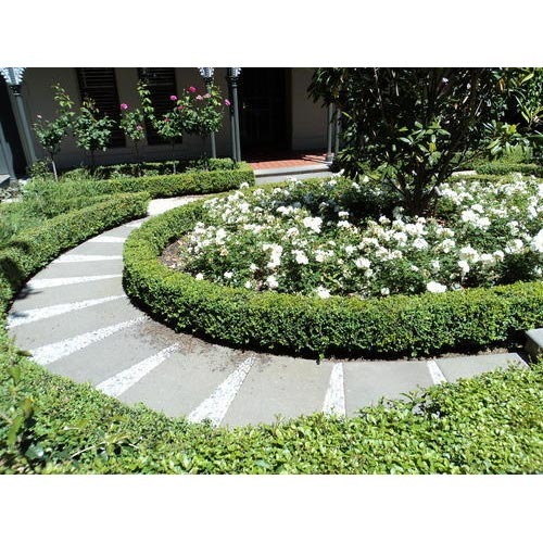residential-horticulture-services
