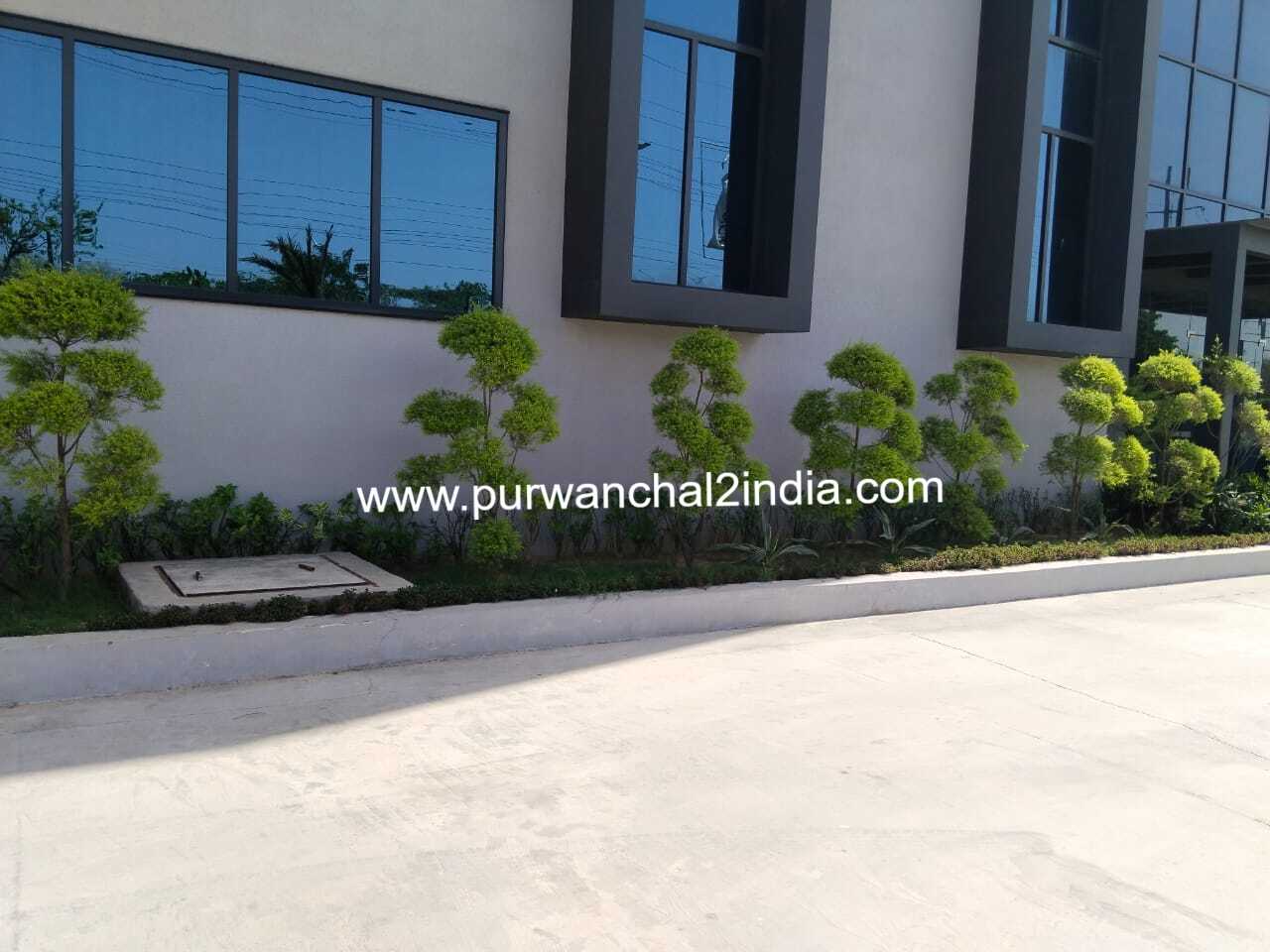 WhatsApp Image 2026-06-25 at 8.07.36 PM(1)