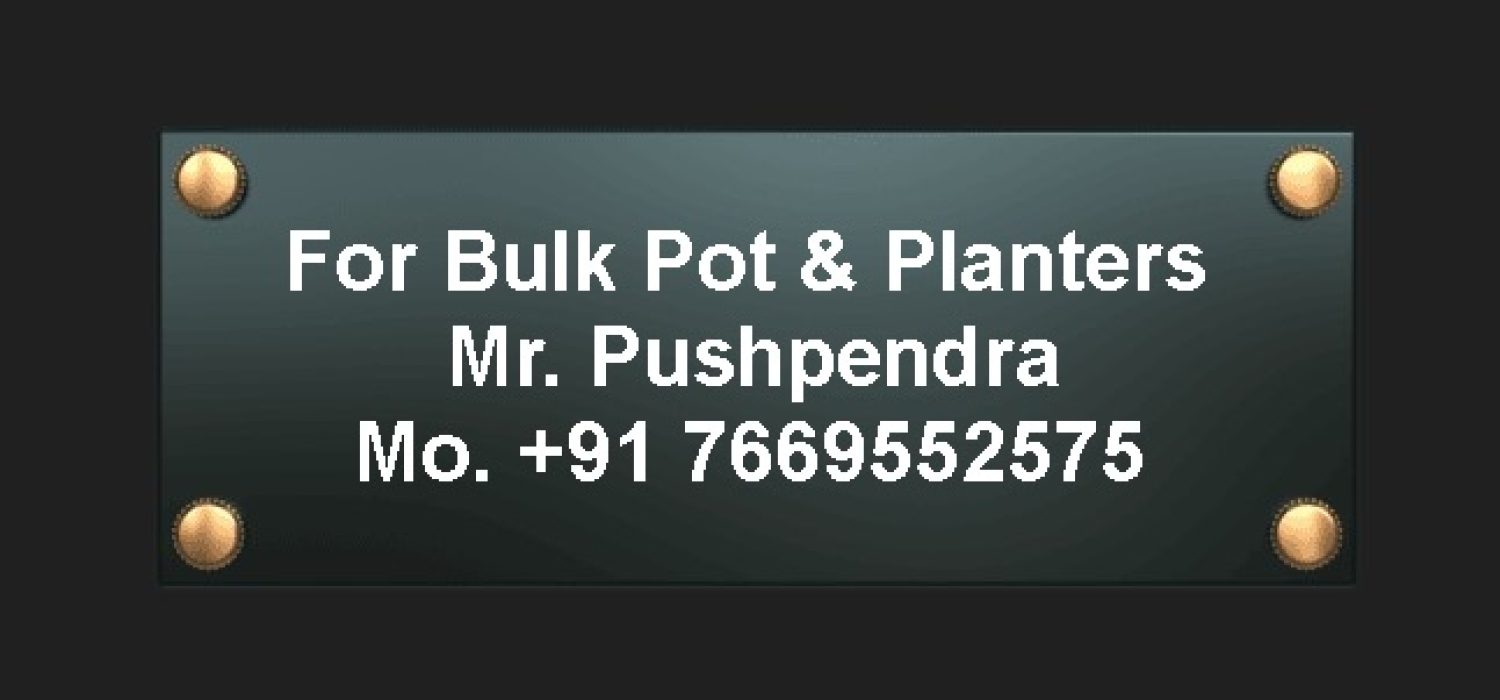 Pots