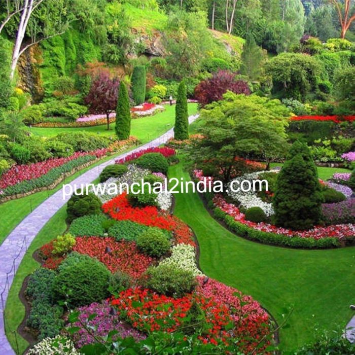 garden-development-services
