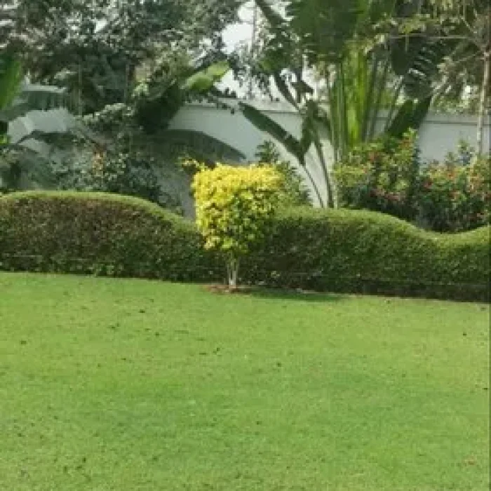 garden-landscape-500x500