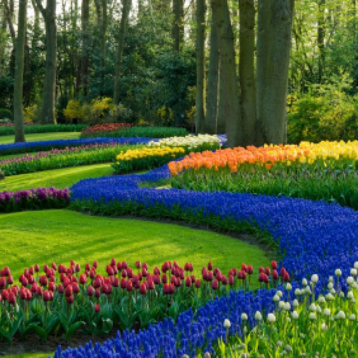 garden-landscaping-service-955