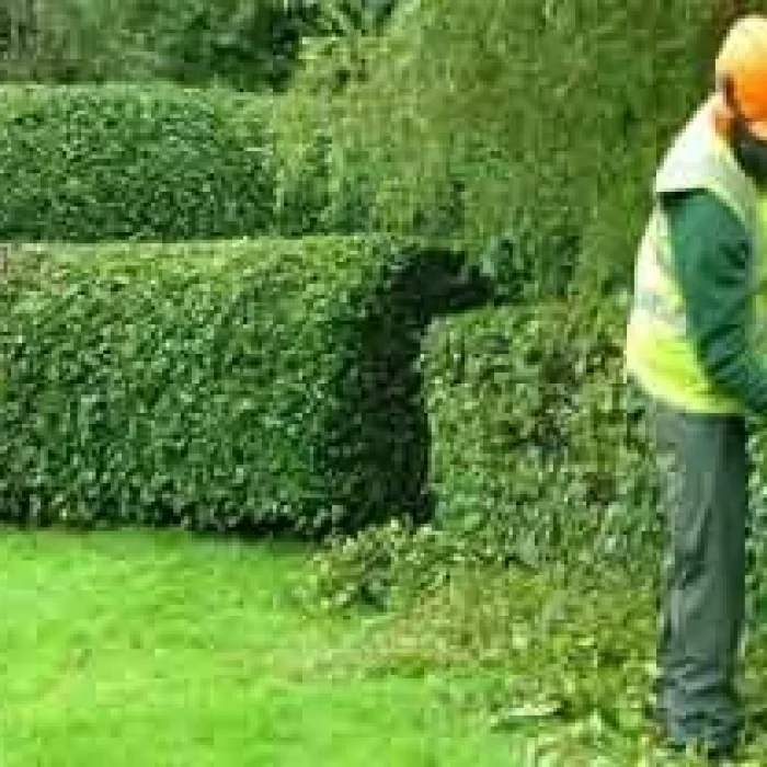 horticultural-services-500x500