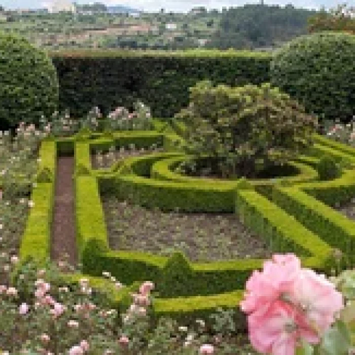 horticulture-landscaping-service-250x250