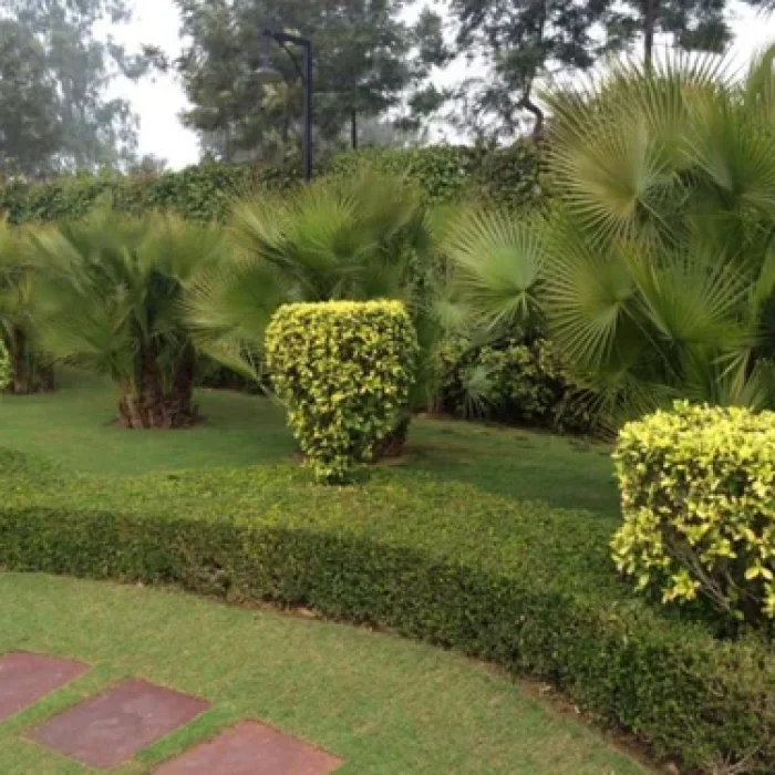horticulture-landscaping-service-500x500 (2)