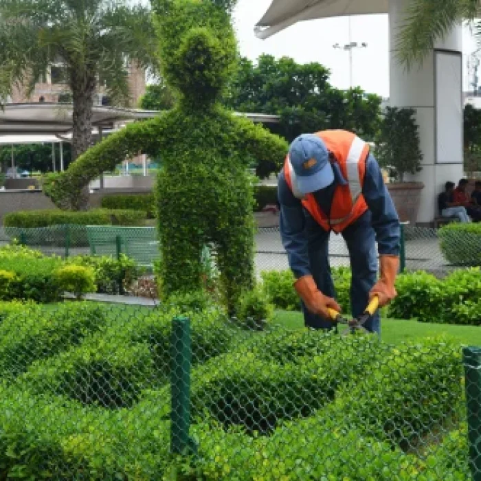 horticulture-landscaping-service-500x500