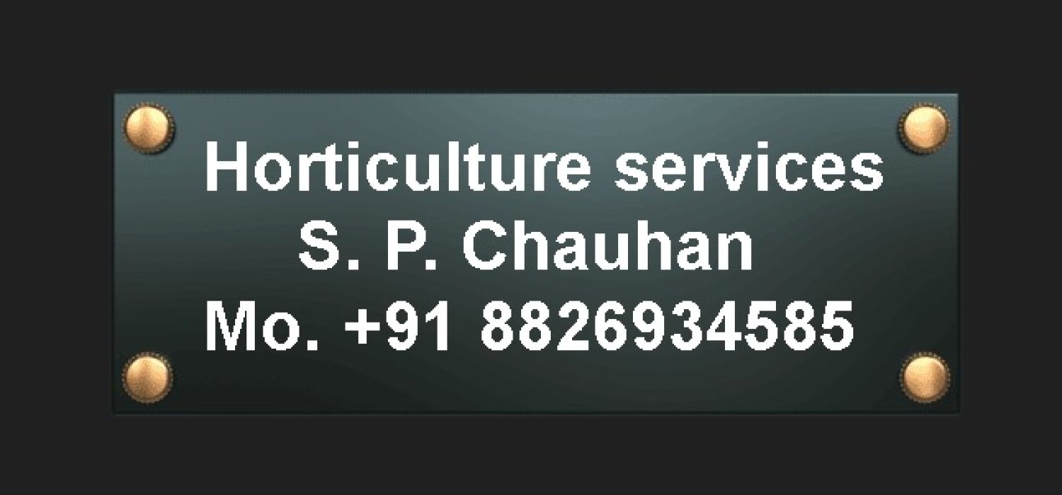horticulture