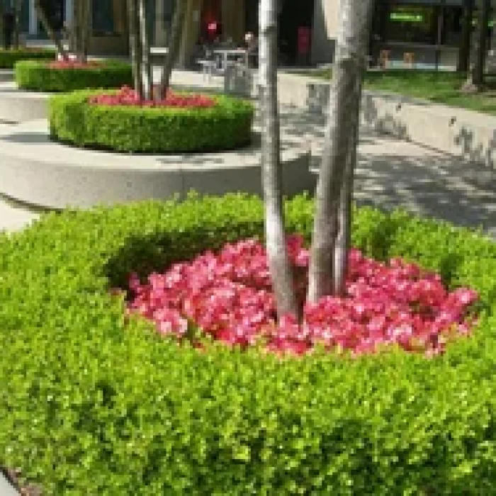horticulture-service-250x250