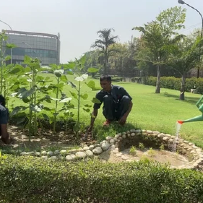 horticulture-services-500x500