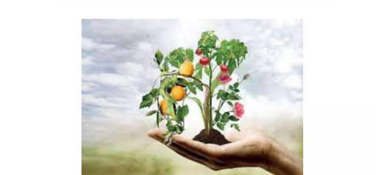 images (7)
