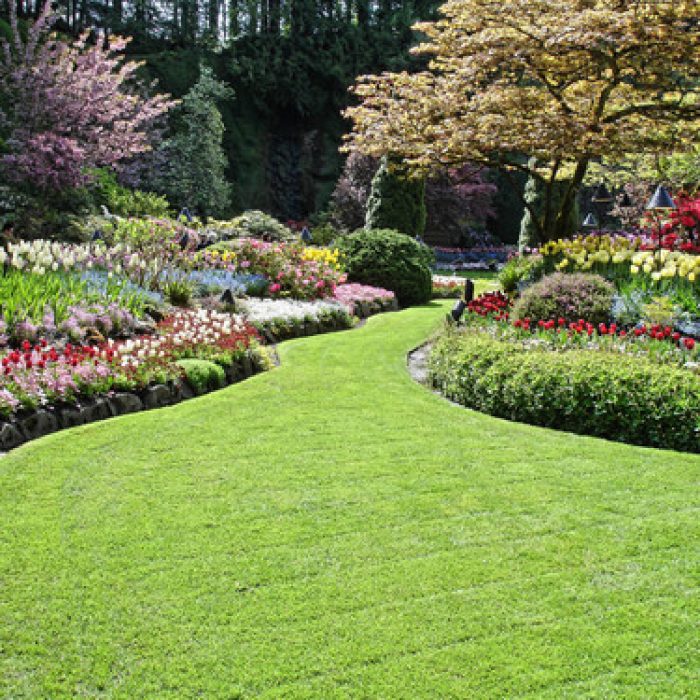 landscaping-service-206
