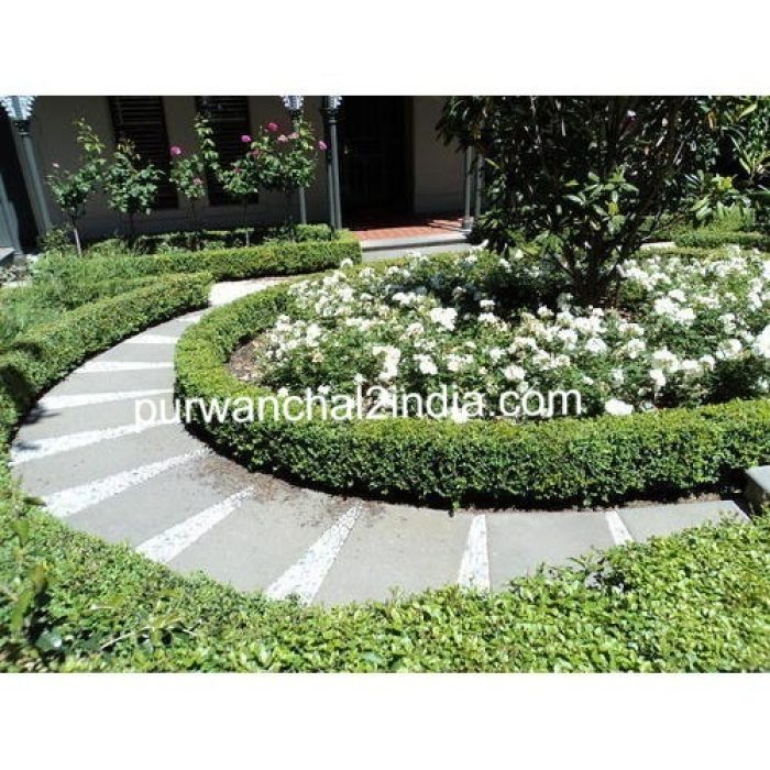 residential-horticulture-services
