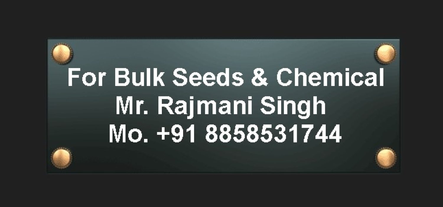 seeds