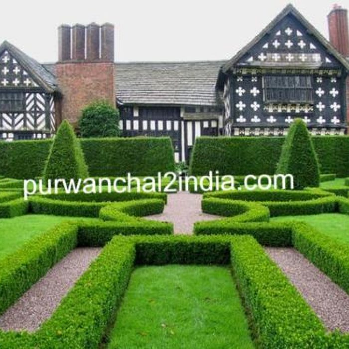 softscape-and-horticultural-landscape-services-664