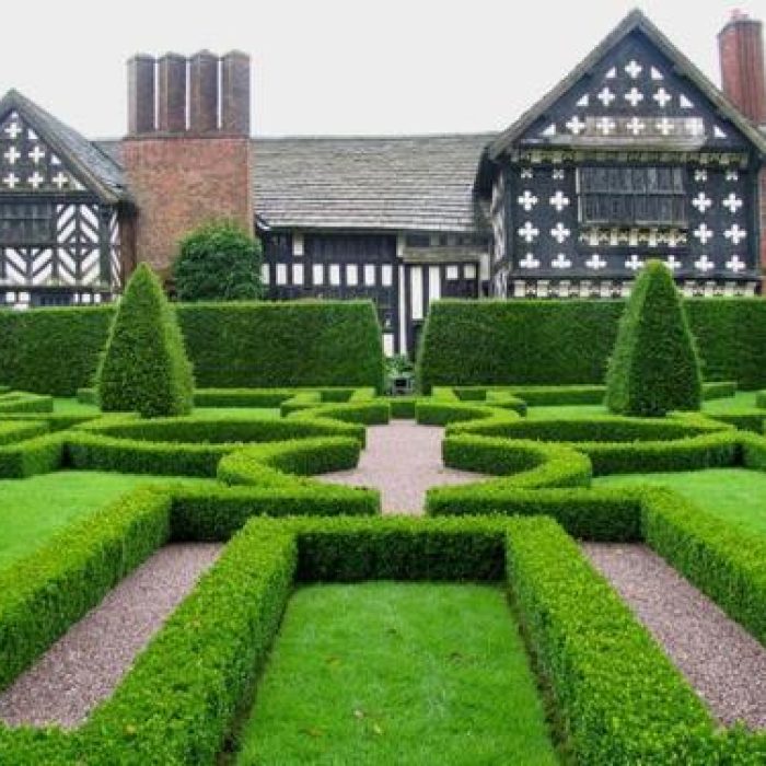 softscape-and-horticultural-landscape-services-664